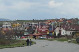 Šalgovík
