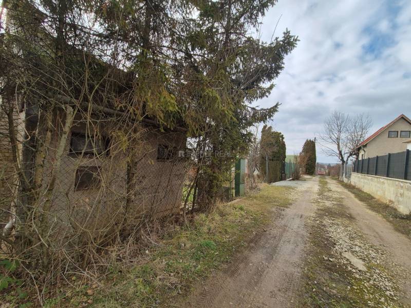 šaca - záhrada