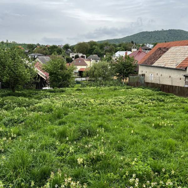 PozemokP