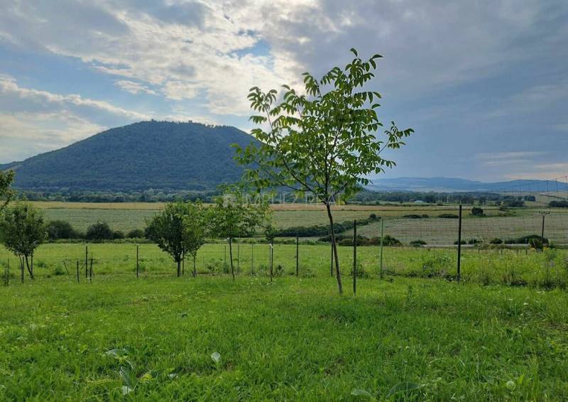 Záhrada / Sad