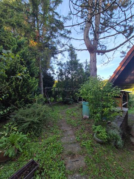 predná časť zahradky s hojdačkou.jpg