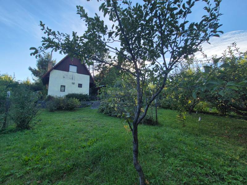 zahrada s ovocným sadom.jpg