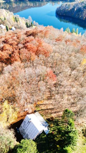 chata v tichom prostredí s výhľadom na les