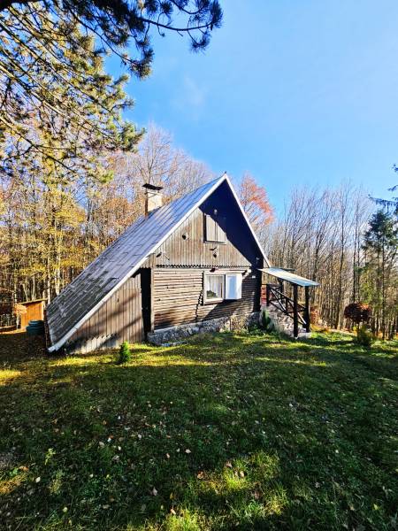 chata v tichom prostredí s výhľadom na les