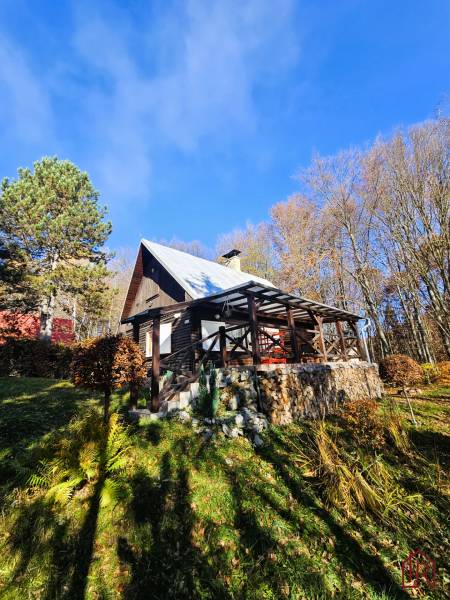 chata na predaj, drevenica, rekreačná nehnuteľnosť, výhľad na jazero, pri lese, tiché prostredie, súkromie, jesenná príroda.