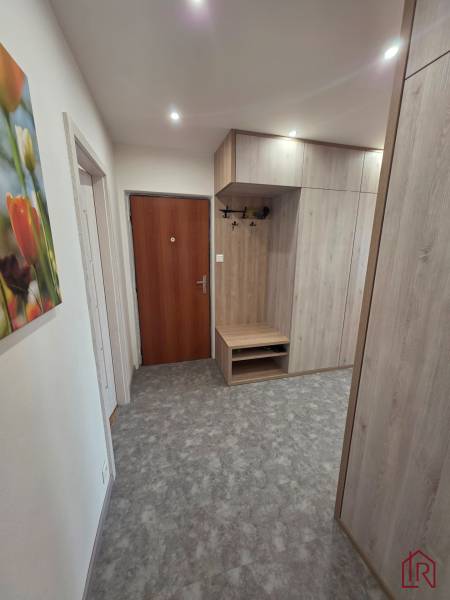 vstupna-chodba-s-vstavanou-skrinou-3-izbovy-byt