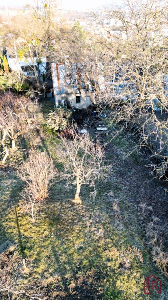 pozemok-trava-stromy