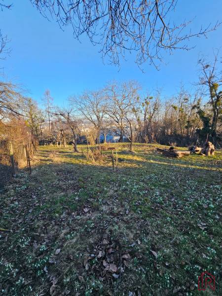 pozemok-trava-stromy