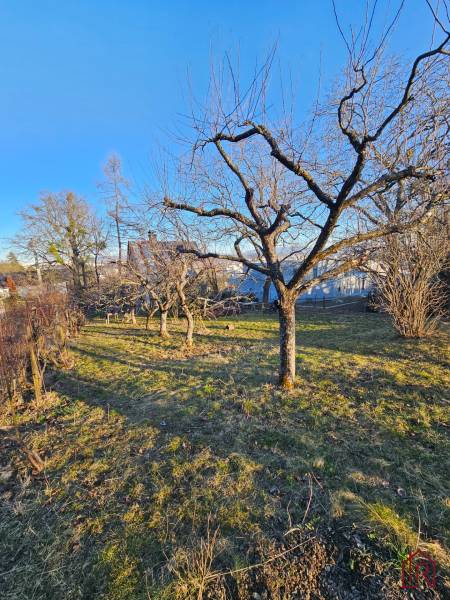 pozemok-trava-stromy