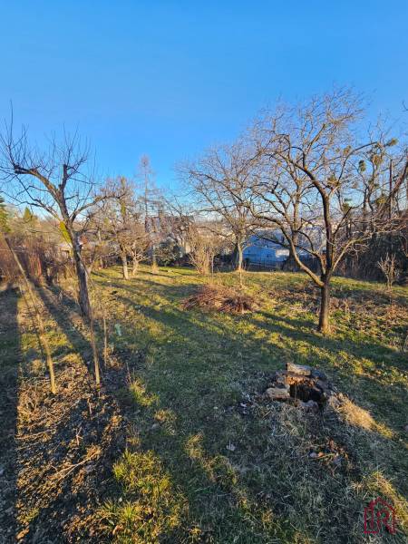 pozemok-trava-stromy